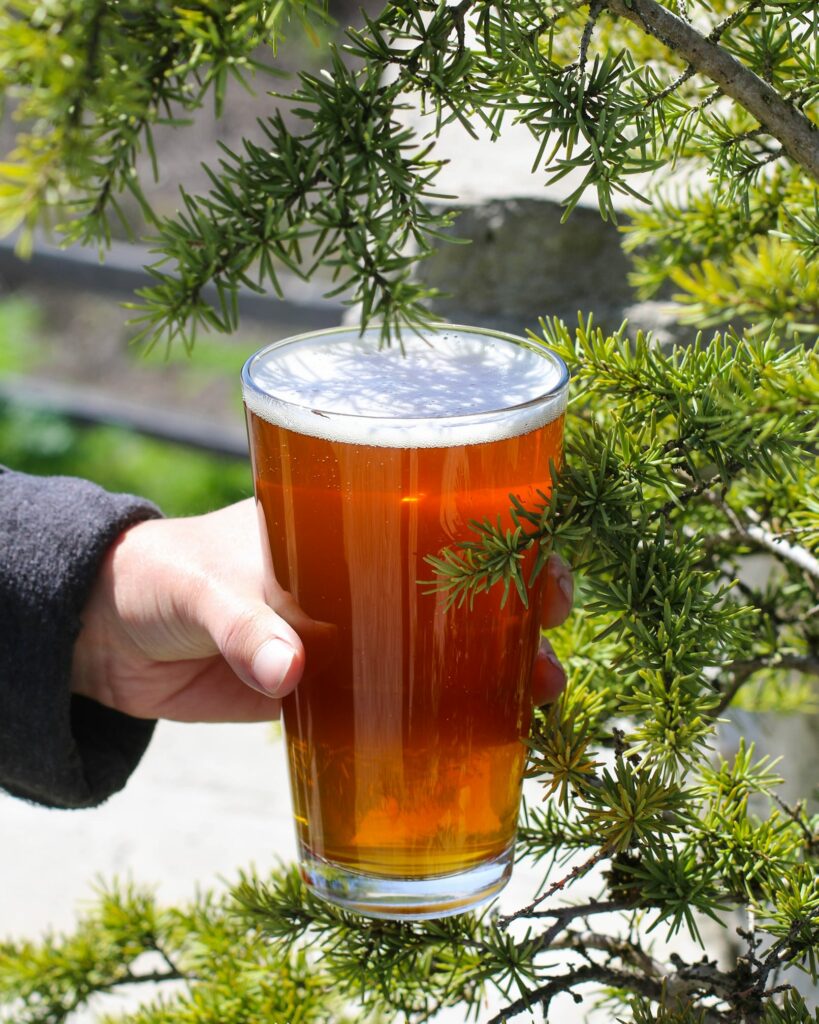 Best Cannabis strains to pair with Beer at Gruff Brewery